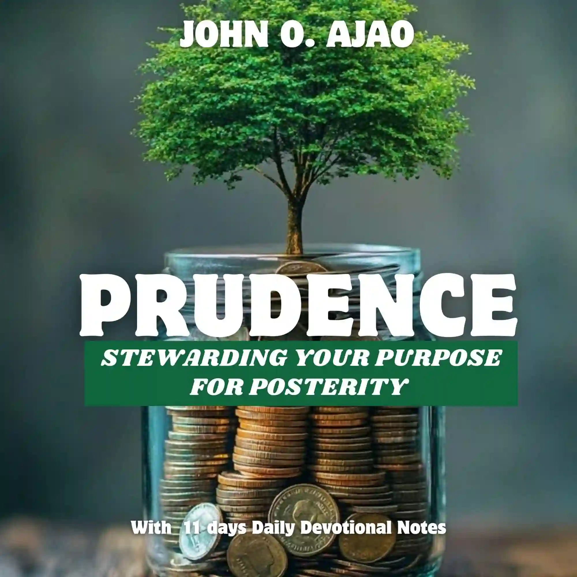 PRUDENCE:STEWARDING YOUR PURPOSE FOR POSTERITY