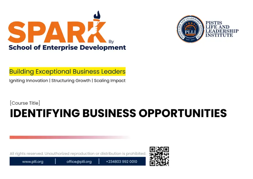 IDENTIFYING BUSINESS OPPORTUNITIES WITH DR. BIODUN ADEDIPE