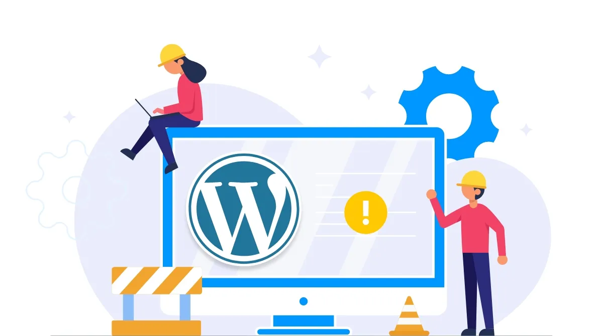 Website Maintenance Package