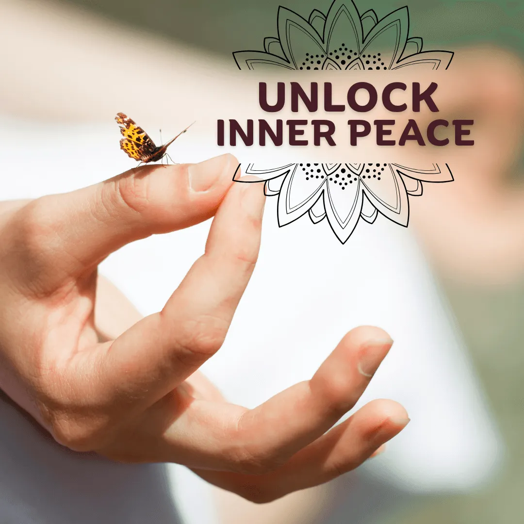 Meditation Made Easy: Your Path to Calm, Clarity and Manifestation