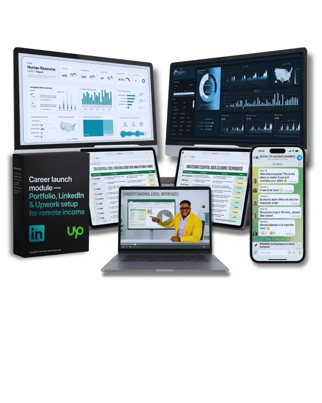EXCEL TO INCOME: THE DATA ANALYST EXCEL MASTERY PROGRAM