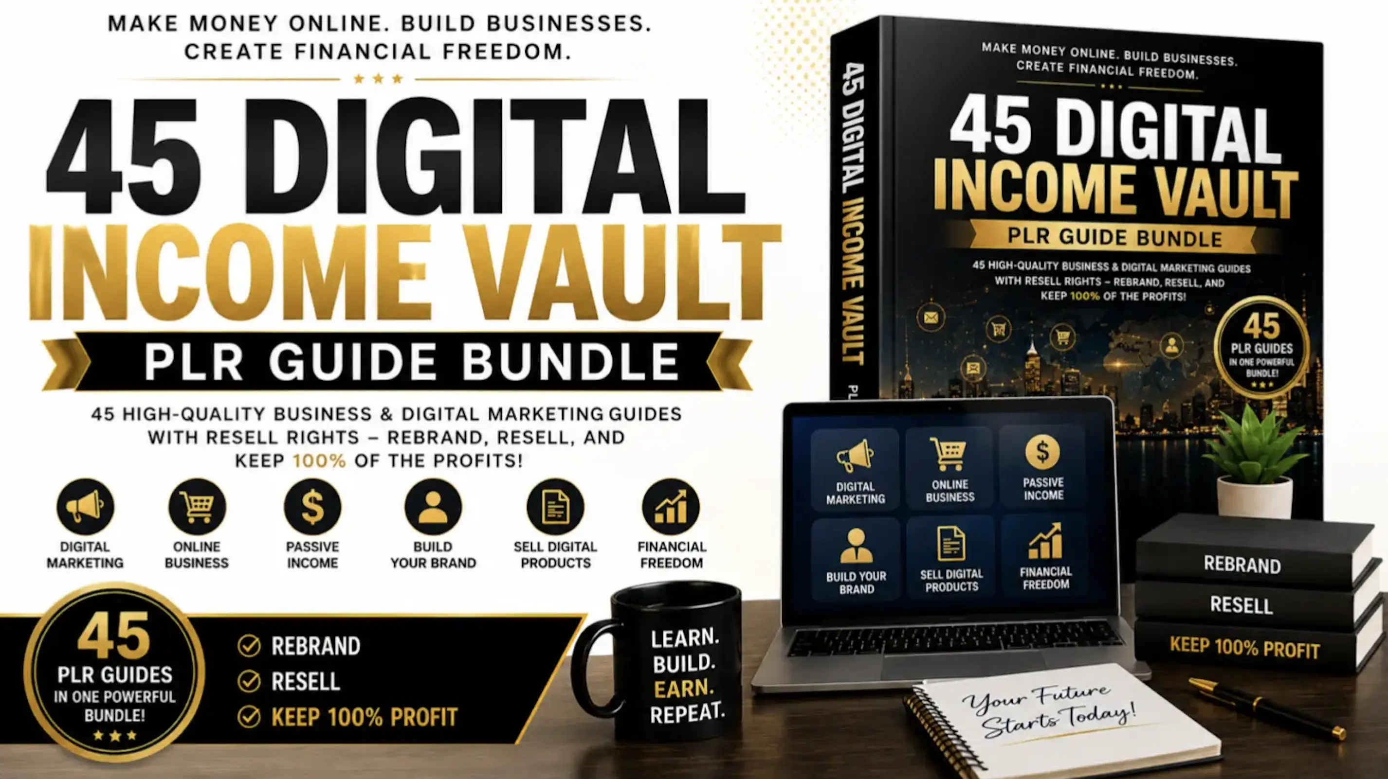 45 DIGITAL INCOME VAULT (PLR GUIDE BUNDLE)