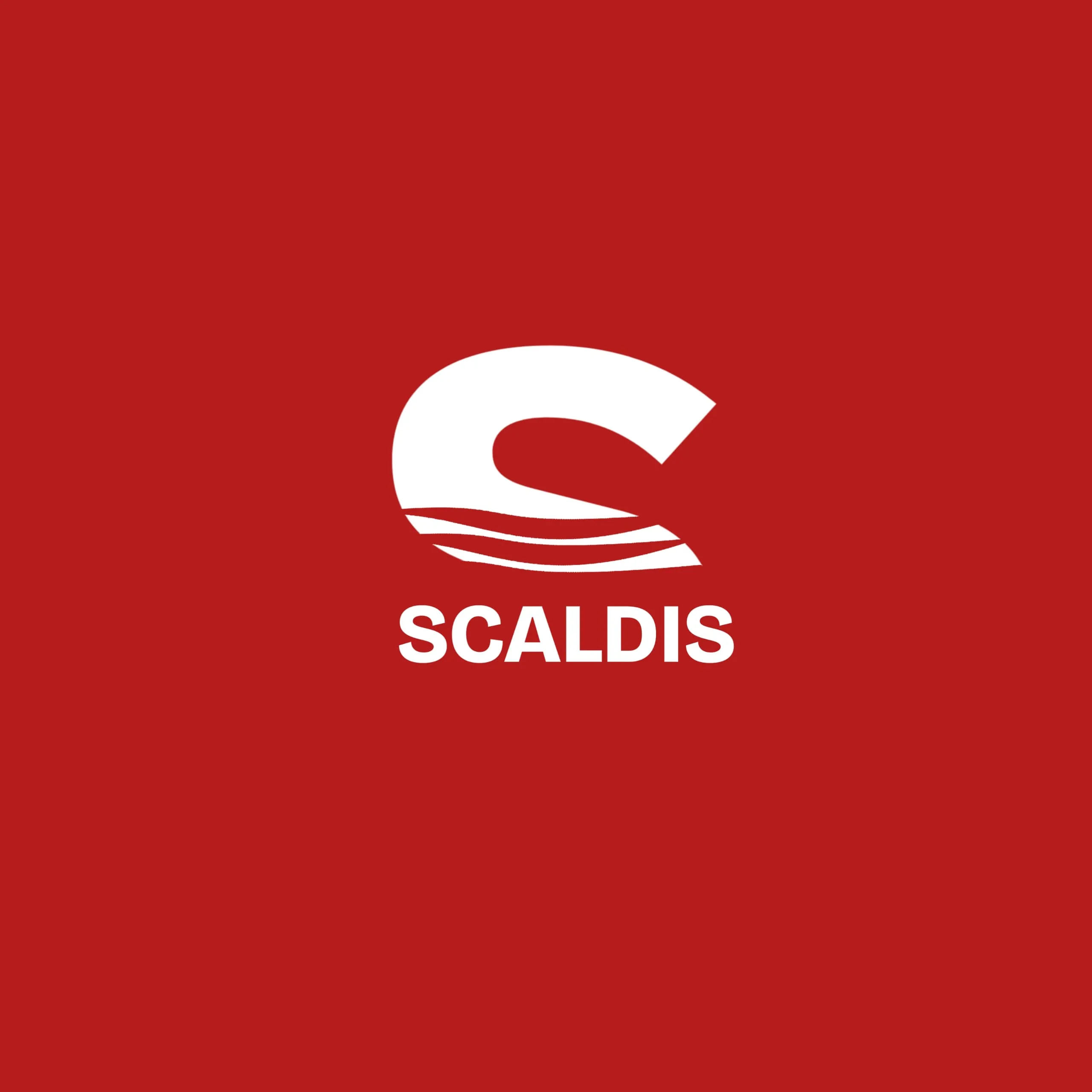 ScaldisCreativeAgency