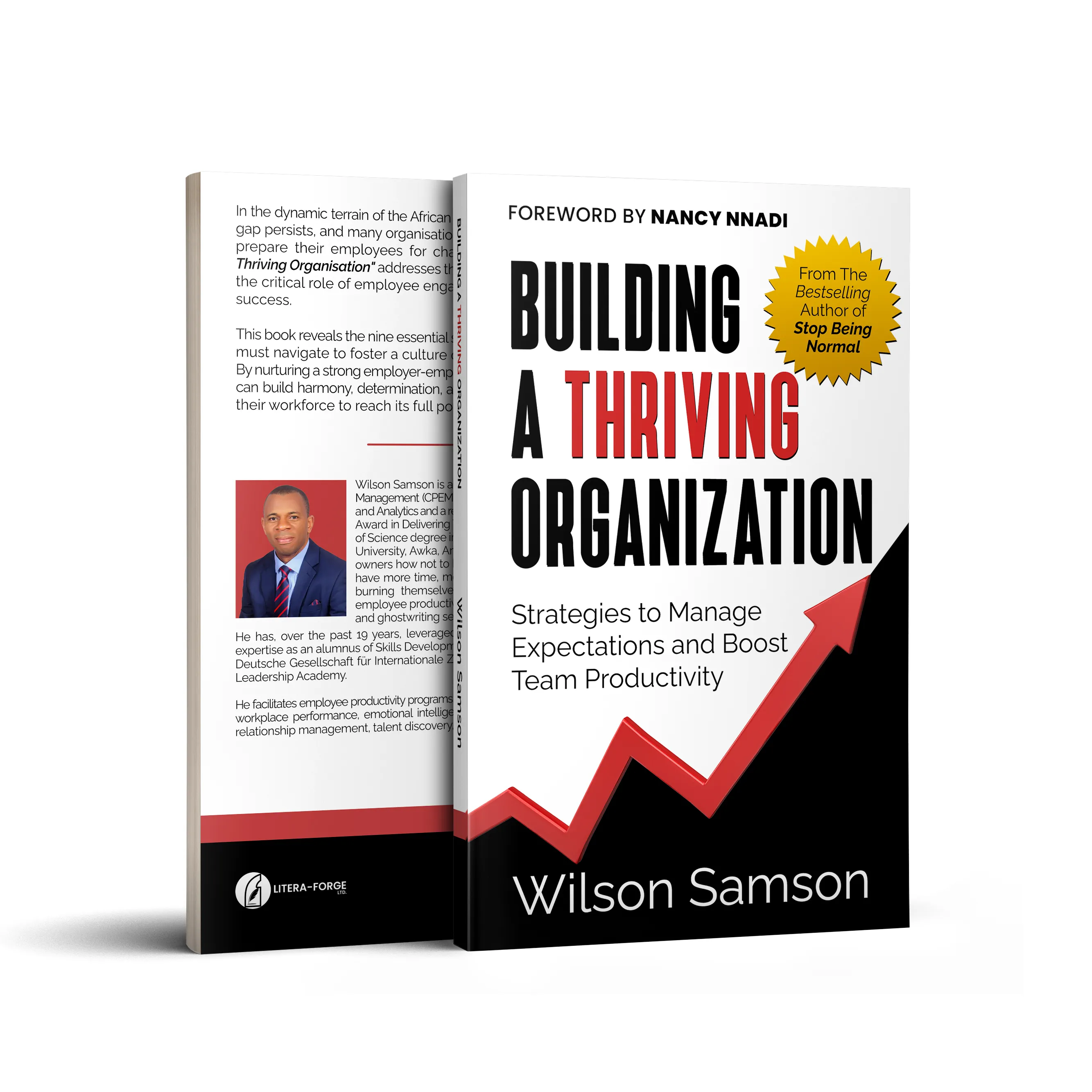 Building a Thriving Organization