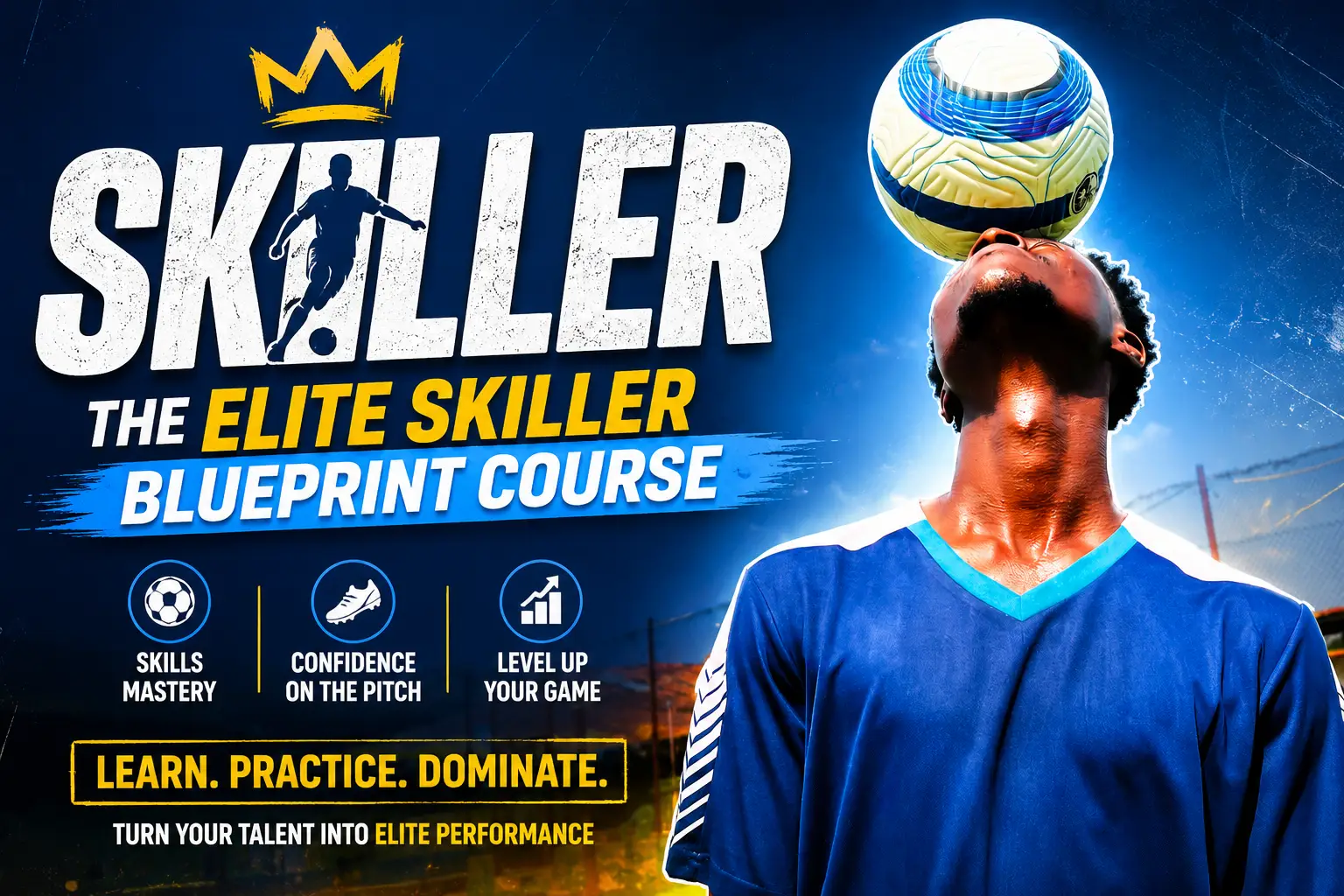 PROJECT SKILLER - The Elite Skiller Blueprint
