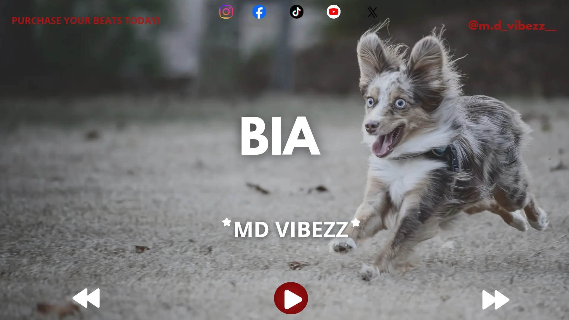 BIA - Afrobeat Instrumental